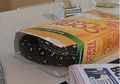 Ini Bukti Bahwa Australia Pantas Disebut Sebagai Salah Satu Tempat Berbahaya di Dunia