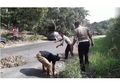 Viral! Dua Polisi di Kaltim Lakukan Begini Saat Lihat Jalan Berlubang