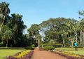 Kebun Raya Bogor, Dulunya Hanya Sebuah Taman di Halaman Istana