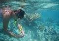 Sama-Sama Olahraga Menyelam, Snorkeling dan Diving Itu Berbeda, lo!