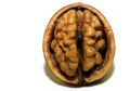 Walnut, si 'Brain Food' yang Paling Bergizi dari Semua Kacang