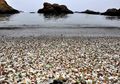 Unik, Pantai di Pasir Ini Terbuat dari Kaca, Dari Mana Kaca-Kaca Itu?
