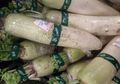Lobak, Melindungi Kita dari Bakteri Jahat dan Membantu Tidur Nyenyak