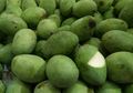 Mangga Manalagi, Manisnya Membuat Ingin Makan Lagi dan Lagi!