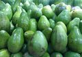 Lemak Nabati di Dalam Alpukat Ternyata Baik untuk Kesehatan Otak