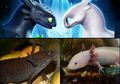 Hewan Ini Mirip Night Fury & Light Fury di How To Train Your Dragon 3