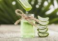Selain untuk Kecantikan, Lidah Buaya Juga Bisa Turunkan Berat Badan!