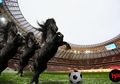 Waspada! Ini 7 Negara yang Bisa Jadi ‘Kuda Hitam’ di Piala Dunia 2018
