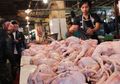 Sering Diabaikan, Ini Ciri Ayam Tiren, Tak Jauh Beda dengan Ayam Segar