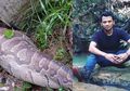 5 Penyebab Ular Telan Manusia di Sulawesi Menurut Panji Si Petualang