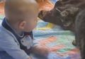 Selagi Masih Libur, Yuk Santai Nonton Kumpulan Video Kucing dan Bayi Lucu