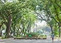 10 Taman Asik Yang Ada Di Jakarta