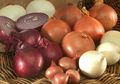 Hati-hati, 4 Jenis Bumbu Dapur Ini Bisa Saja Memicu Bau Badan!