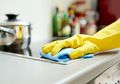 Bermasalah Dengan Kecoak Di Dapur? Usir Dengan Cara Praktis Ini!
