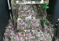 Waduh, Uang Rp 250 Juta dalam Mesin ATM di India Digerogoti Tikus
