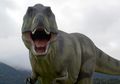 Penemuan Terbaru, T-rex Ternyata Tidak Bisa Menjulurkan Lidah! Kenapa?
