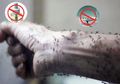 Hemat, Begini Cara Usir Nyamuk Gunakan Bahan Alami Tak Berbahaya!
