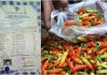 Ijazah Dijadikan Bungkus Cabe, Warganet: Sia-sia Sekolah Bertahun-tahun!