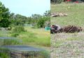 Bukan Padi Atau Gandum, Sejumlah Jasad Manusia Ada di Ladang Mayat dan Dibiarkan Membusuk Hingga Mengering