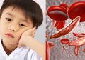 Mengenal Penyakit Anemia Sel Sabit, Kelainan Pada Sel Darah Merah