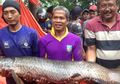 Heboh Penemuan Ikan Arapaima di Sungai Brantas, 'Monster Sungai Amazon' yang Kebal Peluru