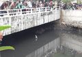 Buaya Muara Muncul di Kali Grogol Jakarta, 3 Ekor Ayam Digunakan Untuk memancingnya