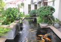 Tanpa Taman, Elemen Ini Juga Bisa Bikin Rumah Kita Sejuk, loh!