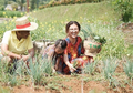Sarwendah Ajak Thalia Berkebun, Wah Ternyata Punya Manfaat Luar Biasa!