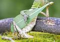 10 Foto Ini Menunjukan Kalau Alam Bisa Lebih Keren Tanpa Photoshop