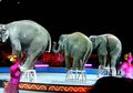 Karena Banyaknya Gajah yang Masuk Arena Sirkus, Maka Lahirlah Kata ‘Jumbo’