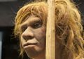 Hii... Ilmuwan Ingin Tumbuhkan Kembali Otak yang Telah Punah 40 Ribu Tahun Lalu, Untuk Apa Ya?