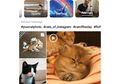 4 Fitur Baru Instagram Ini Mirip dengan Youtube, Snapchat, dan Ask.fm