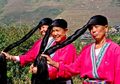 Rahasia Rambut Cantik, Hitam, dan Lebat dari Perempuan Cina