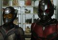 7 Hal yang Perlu Diingat Sebelum Menonton 'Ant-Man and The Wasp'