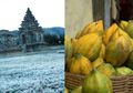Eropanya Indonesia! Suhu Sampai 2 Derajat, Buah Langka Ini Cuma Berhasil Tumbuh di Dieng