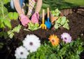 Anda Suka Berkebun? Banggalah, Sebab Ada 5 Manfaat Kesehatan Luar Biasa dari Hobi Berkebun
