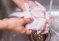 Menurut Ahli, Hindari Mencuci Ayam sebelum Dimasak, Kenapa ya?