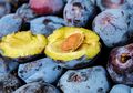 Ramai Promo di Instagram, Apakah Buah Plum Bisa Turunkan Berat Badan?