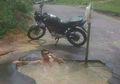 (Foto) Inilah 10 Foto Momen Aneh yang Berhasil Tertangkap Kamera