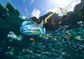 Bakteri yang Menempel di Sampah Plastik Semakin Mengancam Hewan Laut