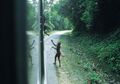 Ada 'Safari Manusia' di Kepulauan Andaman, Inikah yang Membuat Suku Sentinel Jadi 'Beringas'?