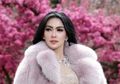 Kritik Tiket Konser Syahrini, Netizen Bandingkan Harga Sapi Kurban