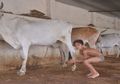 Keluarga Ini Rutin Mandi Dengan Menggunakan Kotoran Sapi, Ini Manfaatnya Menurut Mereka