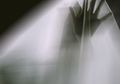 Merasa Ada Penampakan Hantu di Sekitar Anda? Ini Penjelasan Ilmiahnya