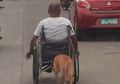 Video Menyentuh Hati Ketika Seekor Anjing Mendorong Kursi Roda Majikannya Dengan Moncongnya…