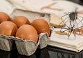 Harga Telur Meroket, Perhatikan Cara Tepat Menyimpannya Supaya Tak Cepat Busuk