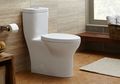 Mulai Sekarang, Tutup Toilet Terlebih Dulu Sebelum Menyiramnya, Demi Kesehatan Anda!