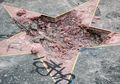 Hollywood Pertimbangkan Hapus Bintang Walk of Fame Milik Donald Trump