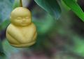 Buah Pir Cantik Berbentuk Patung Buddha Kecil, Bagaimana Bisa?