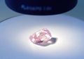 Temuan Luar Biasa! Inilah Berlian Pink yang Sangat Langka dan Pernah Terjual dengan Harga Triliunan
